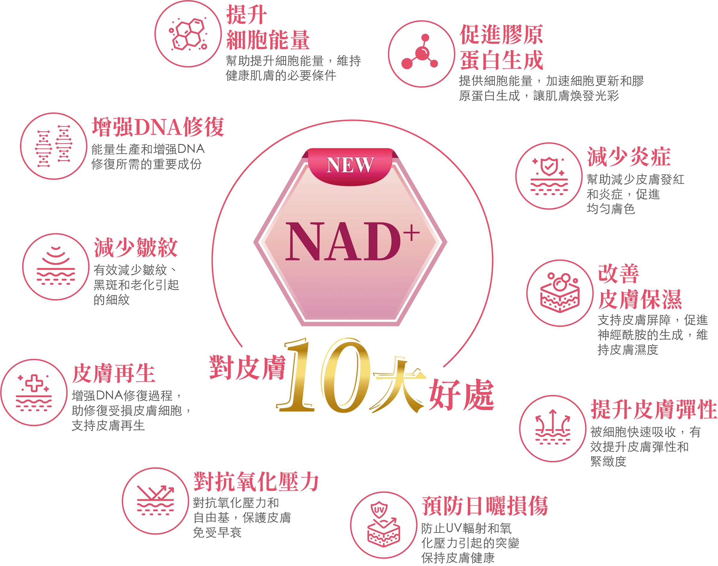 NAD+對皮膚10大好處:1.提升 細胞能量:幫助提升細胞能量，維持健康肌膚的必要條件;2.增强DNA修復:能量生產和增强DNA 修復所需的重要成份; 3.減少皺紋:有效減少皺紋、 黑斑和老化引起的細紋;4.皮膚再生:增强DNA修復過程， 助修復受損皮膚細胞， 支持皮膚再生;5.對抗氧化壓力:對抗氧化壓力和自由基，保護皮膚免受早衰;6.預防日曬損傷:防止UV輻射和氧化壓力引起的突變 保持皮膚健康;7.提升皮膚彈性:被細胞快速吸收，有 效提升皮膚彈性和 緊緻度;8改善 皮膚保濕:支持皮膚屏障，促進 神經酰胺的生成，維 持皮膚濕度;9.減少炎症:幫助減少皮膚發紅 和炎症，促進 均匀膚色;10.促進膠原 蛋白生成:提供細胞能量，加速細胞更新和膠 原蛋白生成，讓肌膚煥發光彩