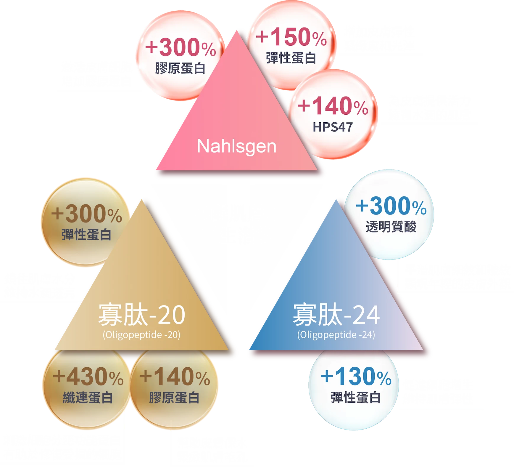 喚醒肌膚の 再生潛能: Nahlsgen +300% 膠原蛋白 激活皮膚細胞 增加膠原蛋白;+150%彈性蛋白增加皮膚彈性 緊緻度和光澤; +140%HPS47 為皮膚提供活力 擁有水潤的肌膚。寡肽-20 (Oligopeptide -20)：+300%彈性蛋白 鎖住肌膚水分 維持水潤透亮;+430%纖連蛋白 刺激細胞分泌功能蛋白 有助於修復受損的細胞;+140%膠原蛋白幫助皮膚保水 緊緻肌膚毛孔。寡肽-24 (Oligopeptide -24):+300%透明質酸平滑肌膚細紋和皺紋 顯現年輕的皮膚外觀, +130%彈性蛋白促進細胞增生 維持肌膚彈性