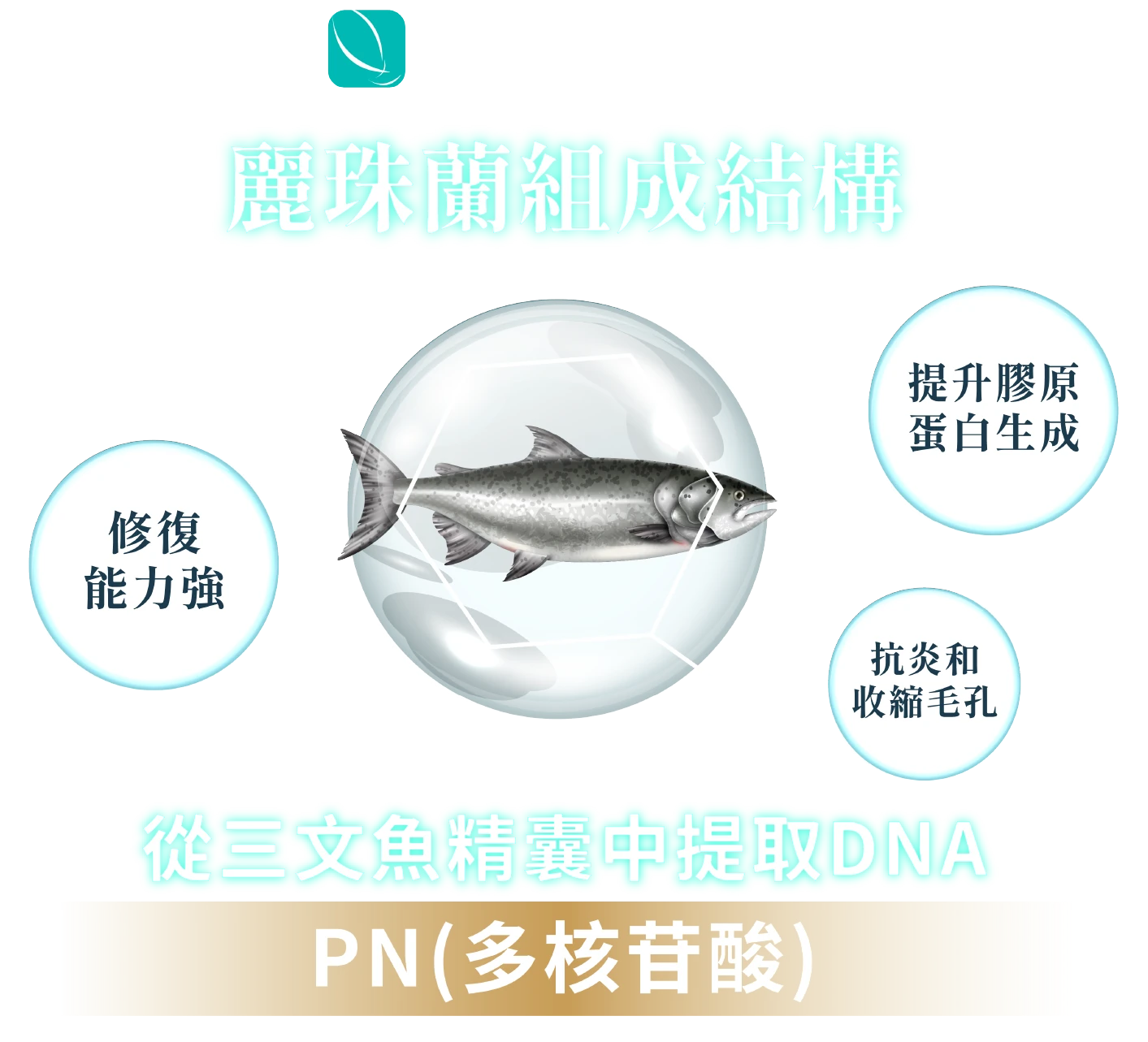 麗珠蘭組成結構: 修復 能力強，提升膠原 蛋白生成，抗炎和 收縮毛孔.從三文魚精囊中提取DNA, PN(多核苷酸)