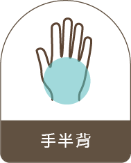 手半背