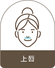 上唇