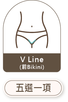 V Line前Bikini 五選一項