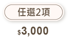 任選2項 $3000