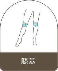膝蓋