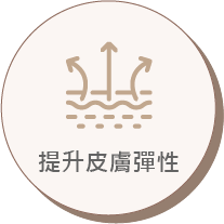 提升皮膚彈性