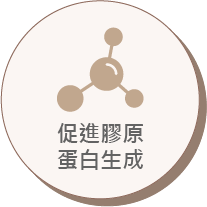 促進膠原 蛋白生成