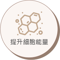 提升細胞能量