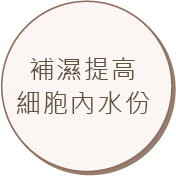 補濕提高細胞內水份